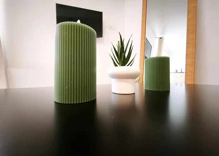 La Parenthèse Kaki Appartement Clermont-Ferrand